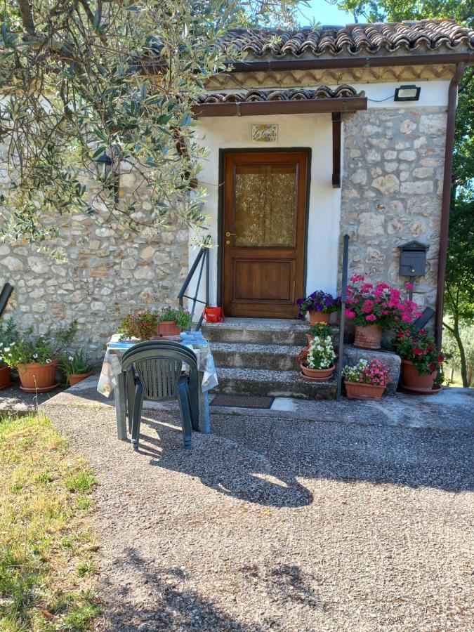 La Casetta Di Ferienhaus Vacone